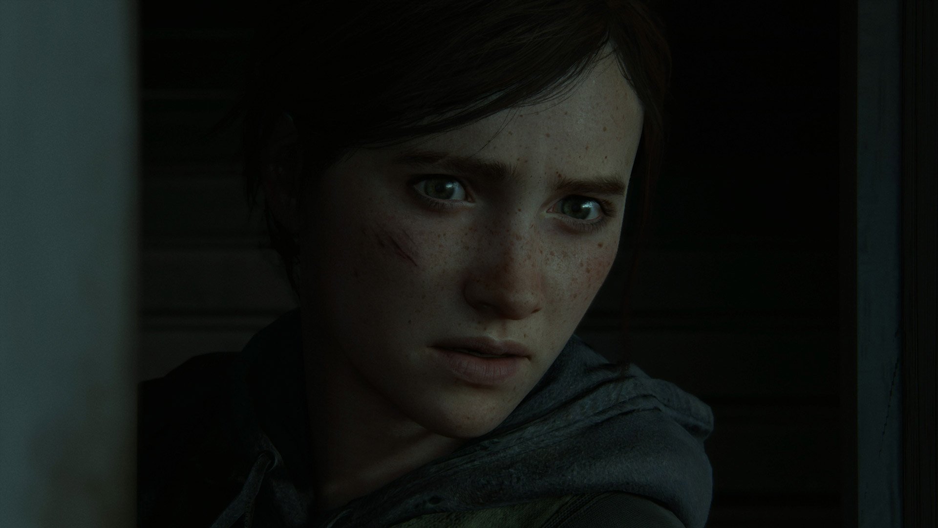 The Last of Us: Parte II - Imagen 45